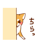 小梅丸スタンプvol.1（個別スタンプ：17）