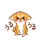 小梅丸スタンプvol.1（個別スタンプ：19）
