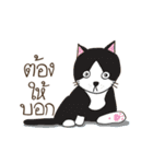 Nuan nuan（個別スタンプ：16）