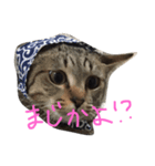 ぺぺマカ（個別スタンプ：4）