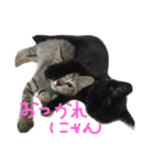 ぺぺマカ（個別スタンプ：5）