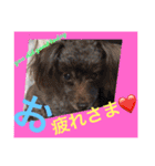 仲良しファミリー 2（個別スタンプ：38）