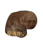 うちのガンジー君（個別スタンプ：1）