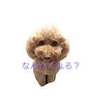 うちのガンジー君（個別スタンプ：4）