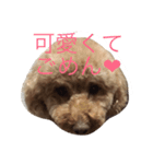 うちのガンジー君（個別スタンプ：7）