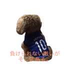 うちのガンジー君（個別スタンプ：8）