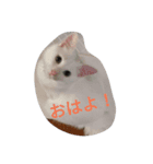 うにはるい（個別スタンプ：1）