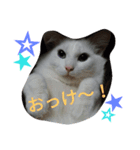 うにはるい（個別スタンプ：2）