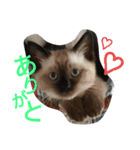 うにはるい（個別スタンプ：3）
