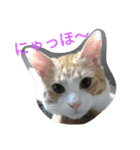 うにはるい（個別スタンプ：6）