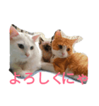 うにはるい（個別スタンプ：8）