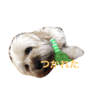 ミックス犬りょうまの日常スタンプ（個別スタンプ：28）