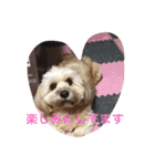 ミックス犬りょうまの日常スタンプ（個別スタンプ：40）
