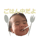 りのはちゃんスタンプ（個別スタンプ：6）