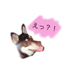サンタン（個別スタンプ：3）