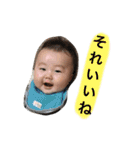 太一くん②（個別スタンプ：15）