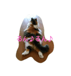 みゅうこ（個別スタンプ：7）