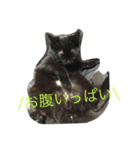 jijibibi2（個別スタンプ：4）