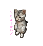 jijibibi2（個別スタンプ：12）