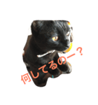 jijibibi2（個別スタンプ：14）