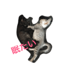 jijibibi2（個別スタンプ：16）