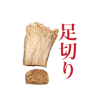 秋の味覚【実写】茸がこの先生きのこるには（個別スタンプ：16）