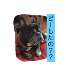 ワン！犬！たっぷり24個！（個別スタンプ：10）