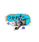 モモ スタンプ（個別スタンプ：2）
