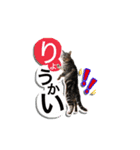 モモ スタンプ（個別スタンプ：7）