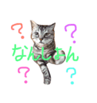 Yama_CAT（個別スタンプ：24）