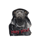 staffy  ethan（個別スタンプ：2）