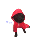 staffy  ethan（個別スタンプ：18）