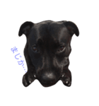 staffy  ethan（個別スタンプ：22）