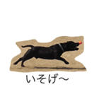 staffy  ethan（個別スタンプ：23）