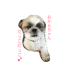アホぼん（個別スタンプ：1）