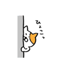 やのが描いたねこ（個別スタンプ：38）