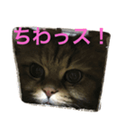 gororn（個別スタンプ：1）