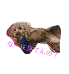 愛犬華ちゃん（個別スタンプ：7）