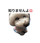 まなとんと彼女の仲間たち（個別スタンプ：6）