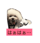 まなとんと彼女の仲間たち（個別スタンプ：10）