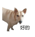 XU.LAI.FU 2（個別スタンプ：28）