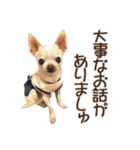 犬のきもち 3（個別スタンプ：14）