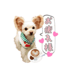 モデル犬スタンプ☆（個別スタンプ：2）