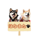 モデル犬スタンプ☆（個別スタンプ：4）