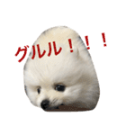 モフモフジョーくん（個別スタンプ：15）