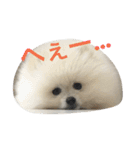 モフモフジョーくん（個別スタンプ：23）