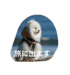 ポメラニアン雪丸2（個別スタンプ：7）