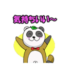 パンダヌキ 群馬在住（個別スタンプ：12）