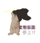 わがままティンバくん（個別スタンプ：8）