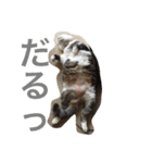 むーちろ（個別スタンプ：4）